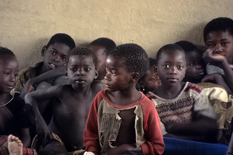 https://www.transafrika.org/media/Bilder Malawi/kinder afrika.jpg